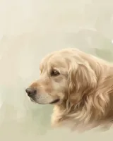 Golden retriever portrait in Remembrance style
